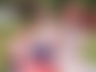 Day 14: The Cavendish Experience