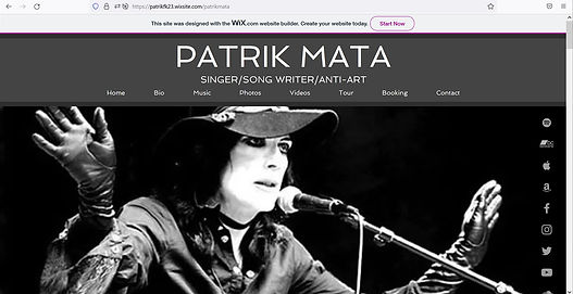 Website-Example-1-SS.jpg