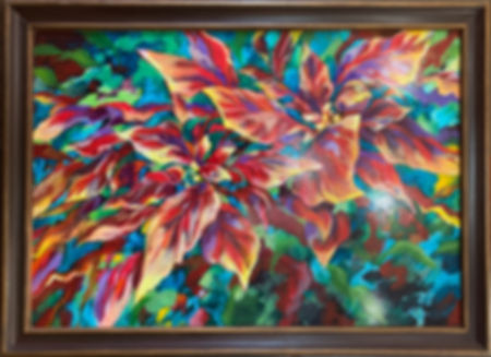 Cheerful Poinsettias