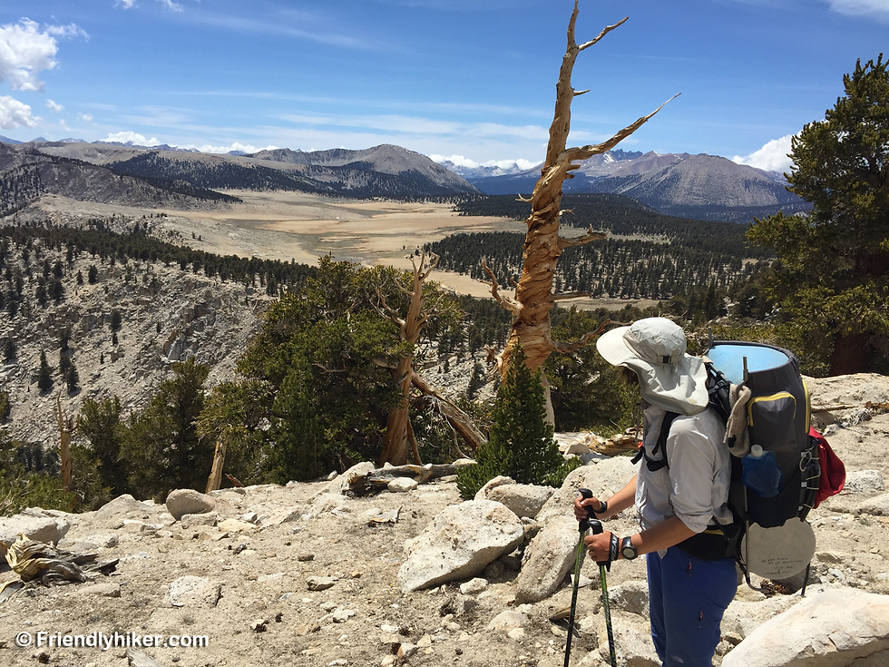 Entering Sequoia National Forest