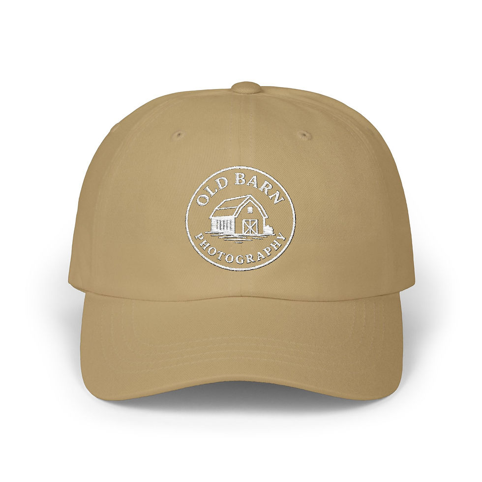 Thumbnail: Old Barn Photography Hat Embroidered White Print
