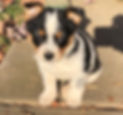 Rocky_3_edited.jpg