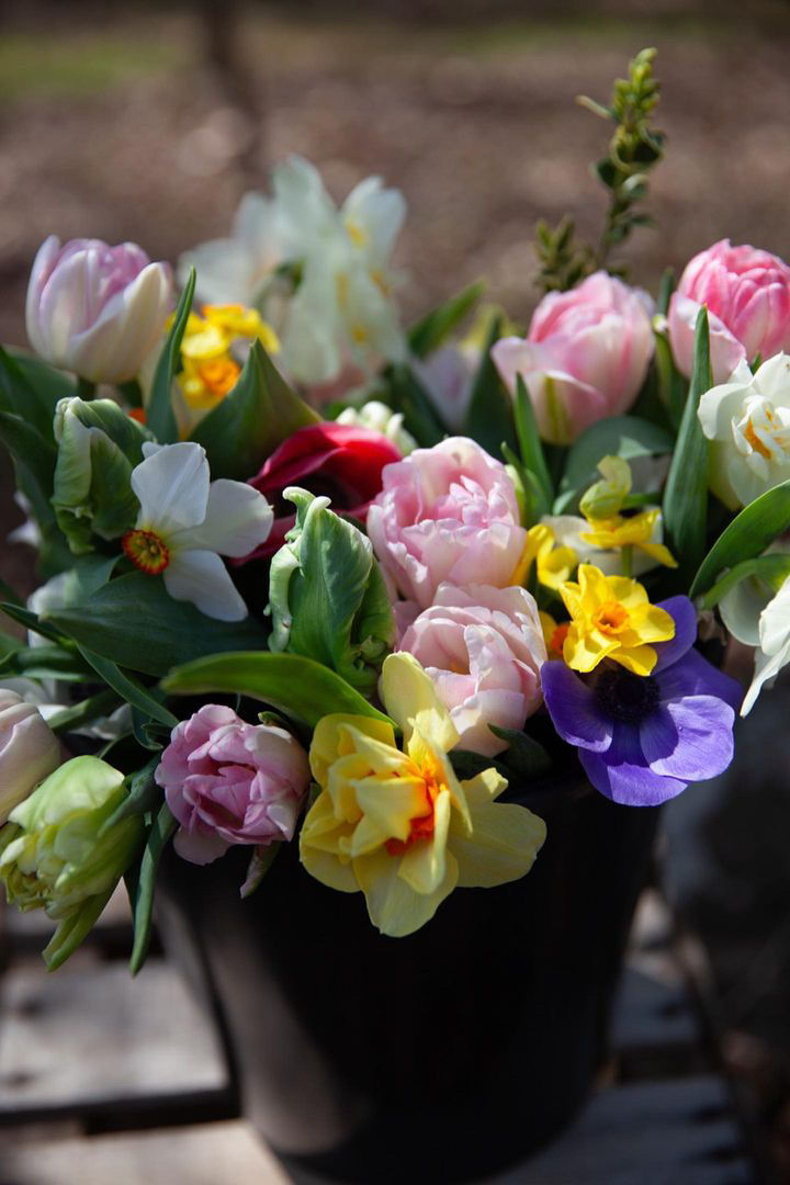 Thumbnail: Mixed Floral Bucket