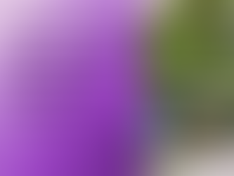 The Psychology Behind Clicks: Why People Engage with Online Ads