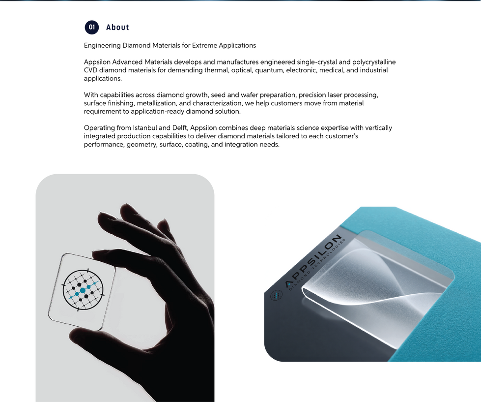portfolio 02 appsillon logo@4x