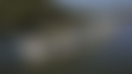 【添乗員付きツアー紹介 第一弾】2025年3月31日出発「春の訪れを感じる水都アムステルダムとオランダベルギークルーズ11日間<羽田発成田着>」