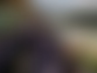 2027年のアラスカは、もっと自由で楽々。デナリ・ロッジが生まれ変わり、今ならHave It Allにクルーズツアーの食事が付きます