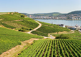 Rudesheim.jpg