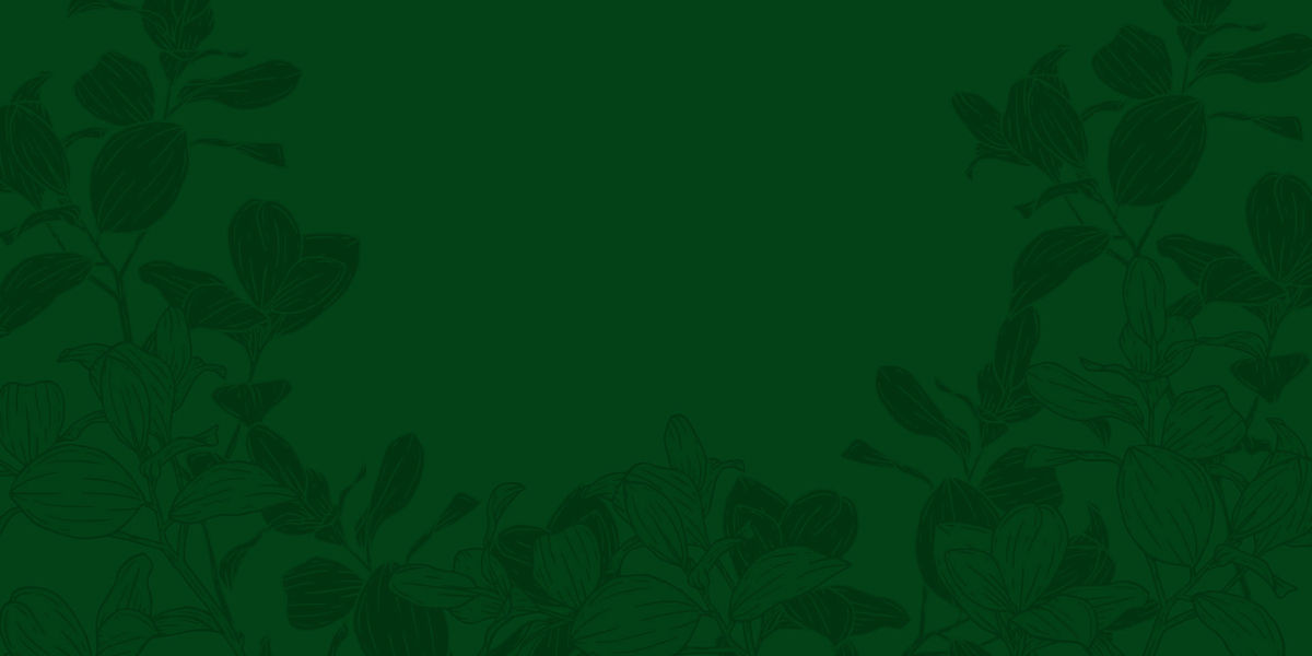 Luminas Services, Llc