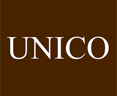 logo unico