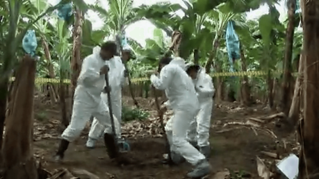 Colombia Chiquita, Between Life and Law - June 2009.png