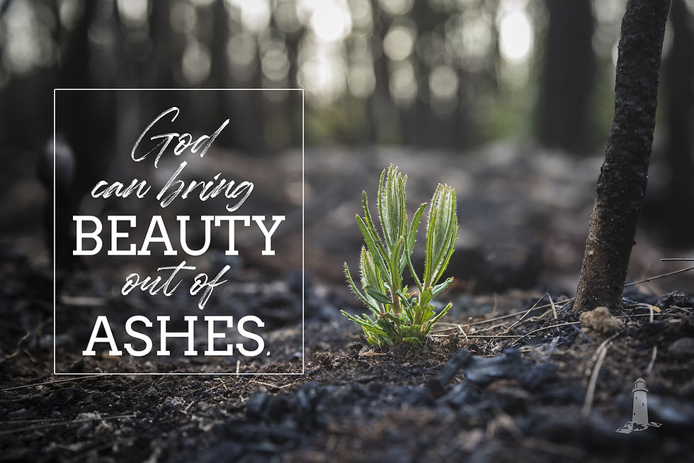 God can bring beauty out of ashes