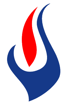 Logo saydam.png