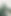 Green Foliage Closeup