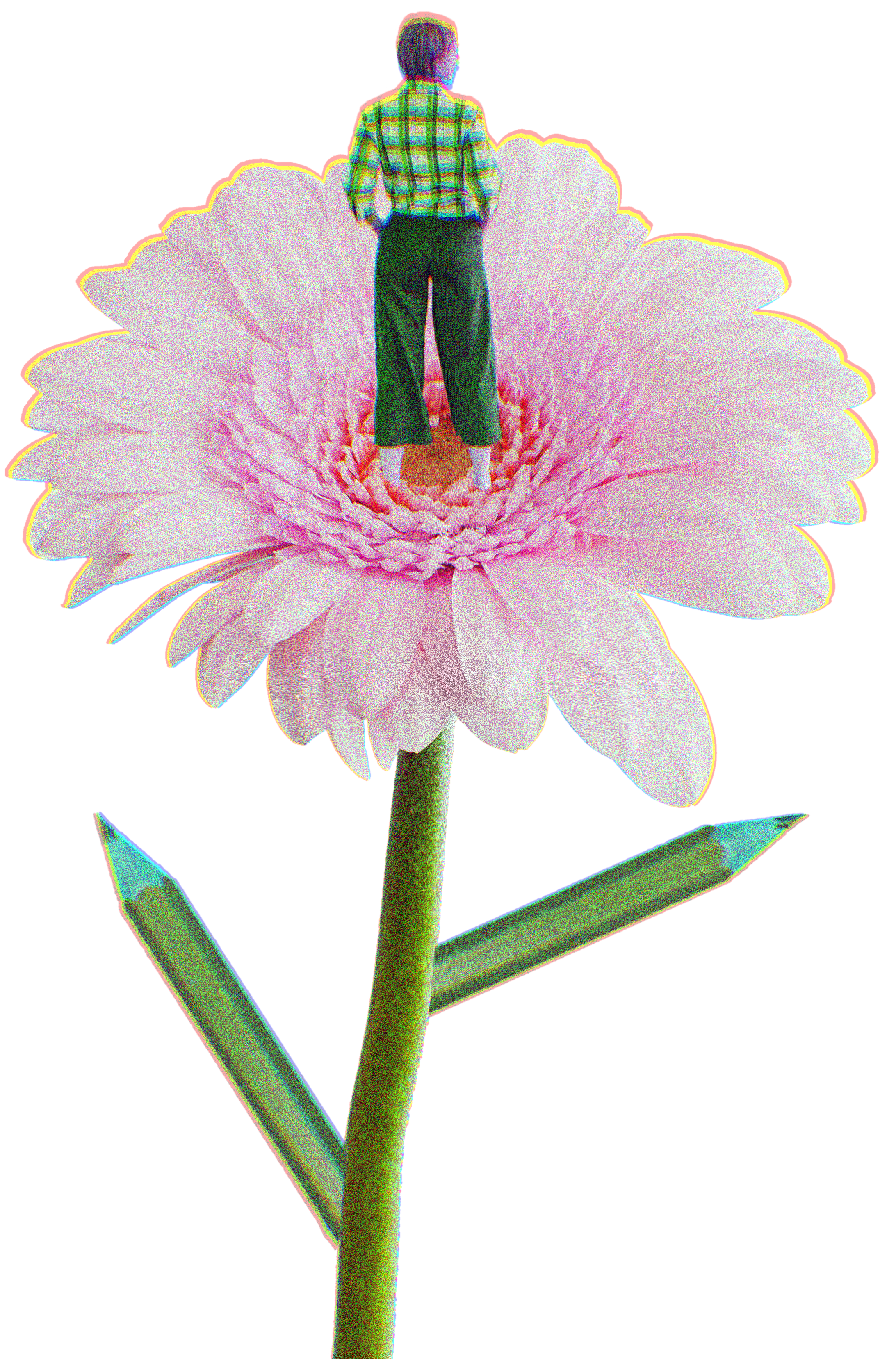 flower_girl.png