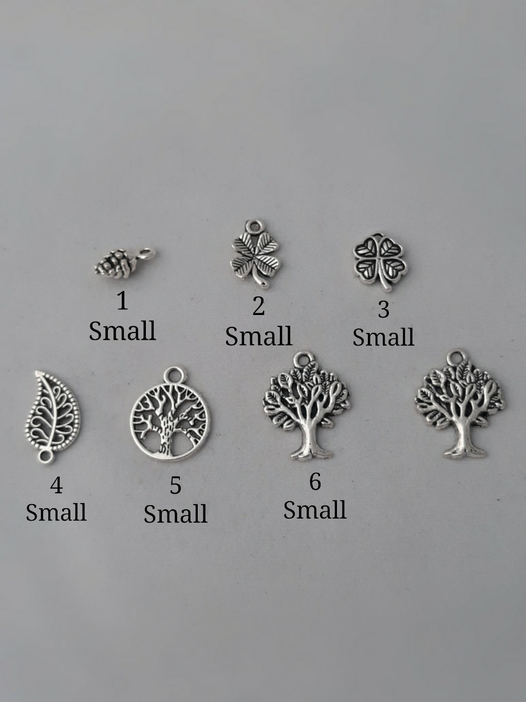 Silver Charms