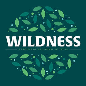 WAI-Wildness-logo.jpeg