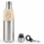 Stainless Steel (Silver)