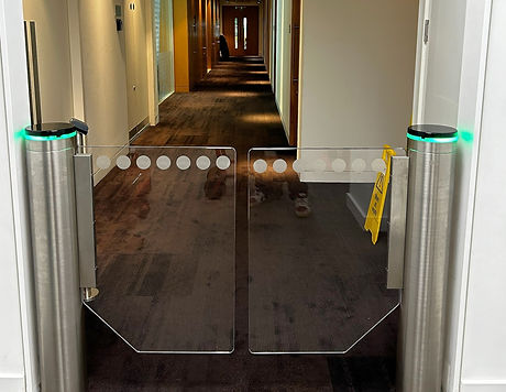 SG100 swing gate