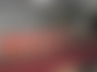 Evolves PG300 with face recognition