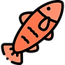 salmon.png