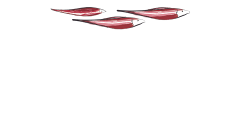 LOGO MURANO BIANCO_edited.png