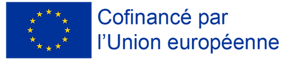 Logo FSE+