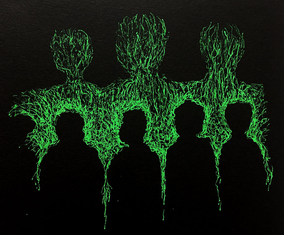 Observer Observed (green)
