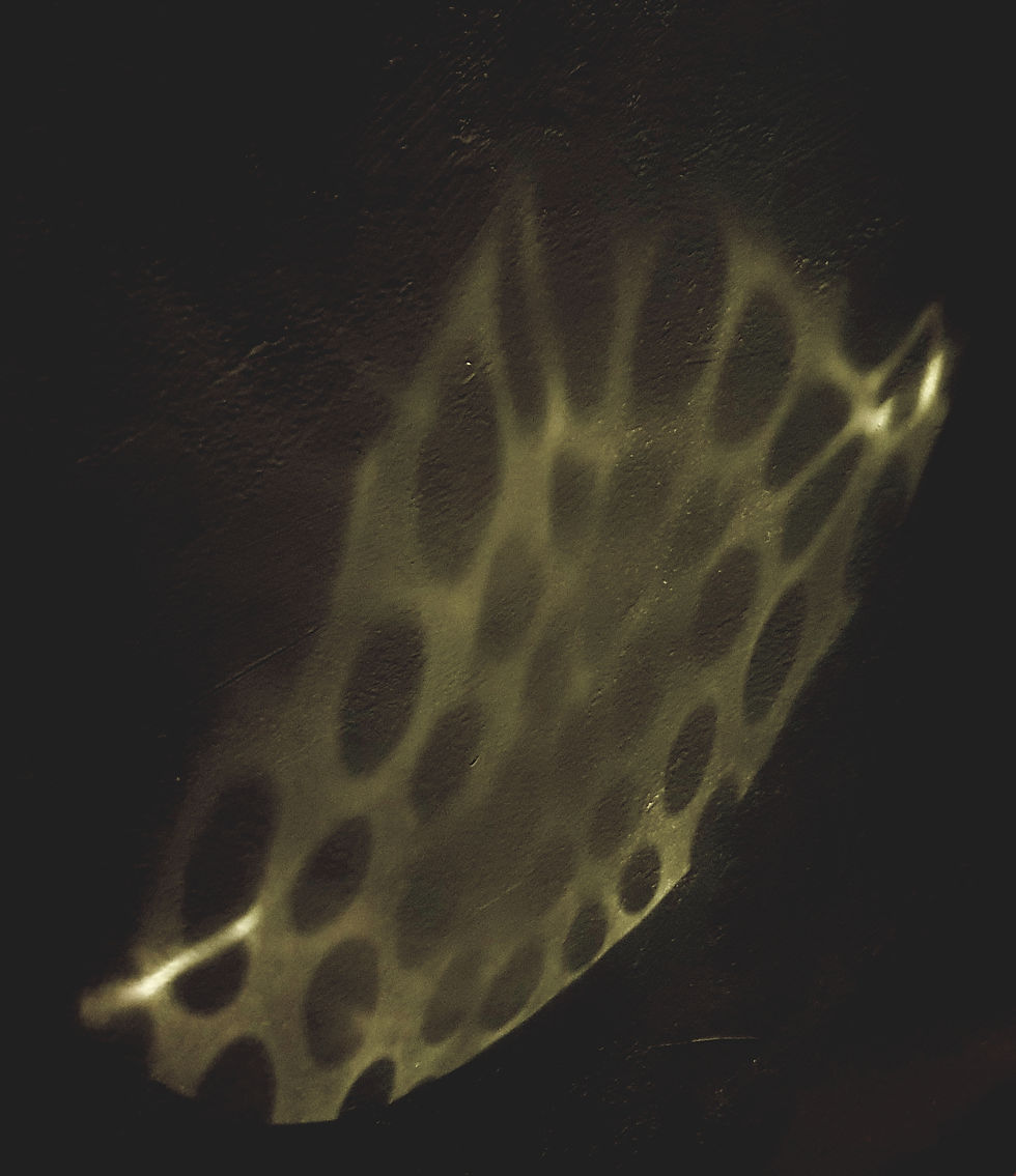 Light Dark Reflection Study 10