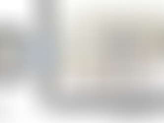 ホットランナー２色系統流路設定②