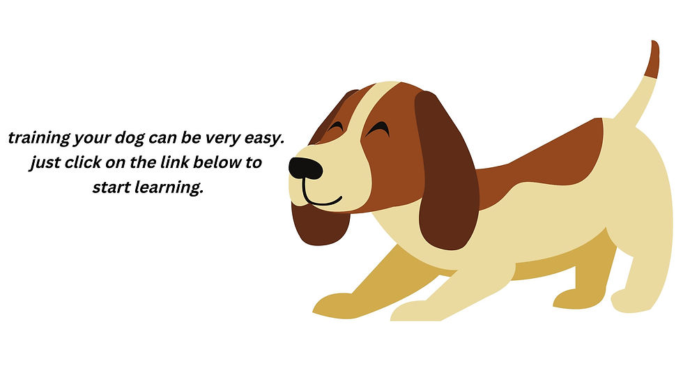 how to train your dog.