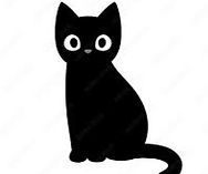 Black cat _edited.jpg