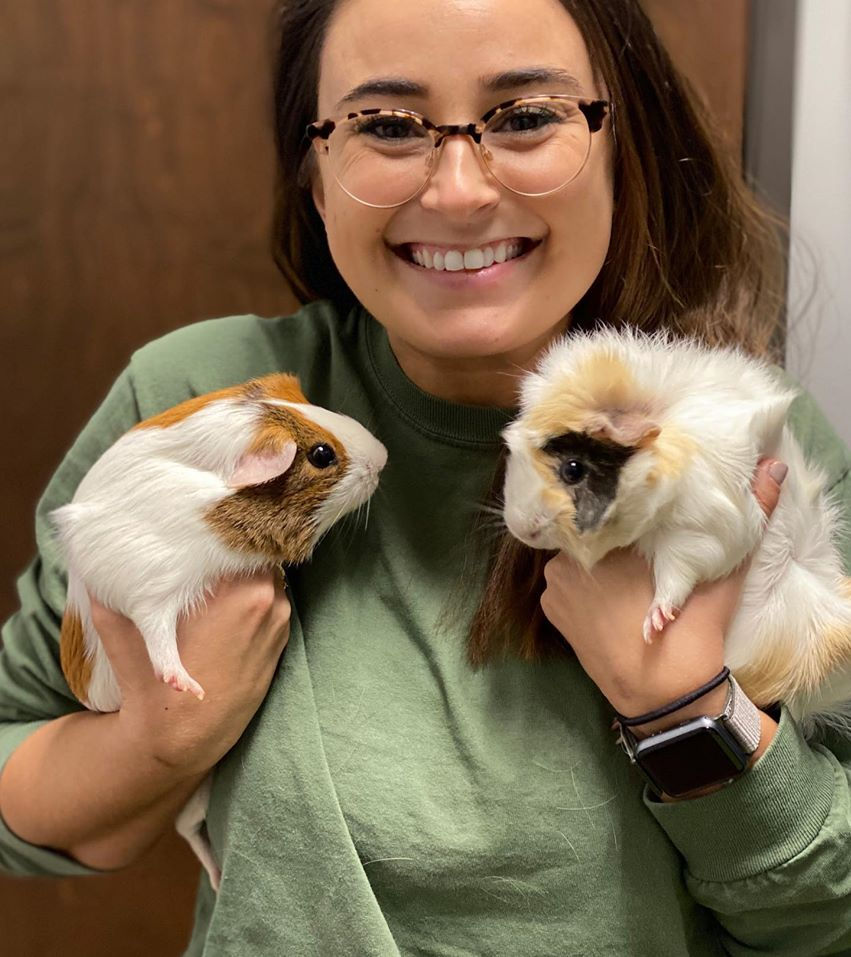 82131877_1467094776795719_73908445683730