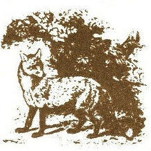 Countrywise pest control Tonbridge Sevenoaks and Malling