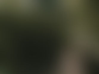 This Was Never Just a Job