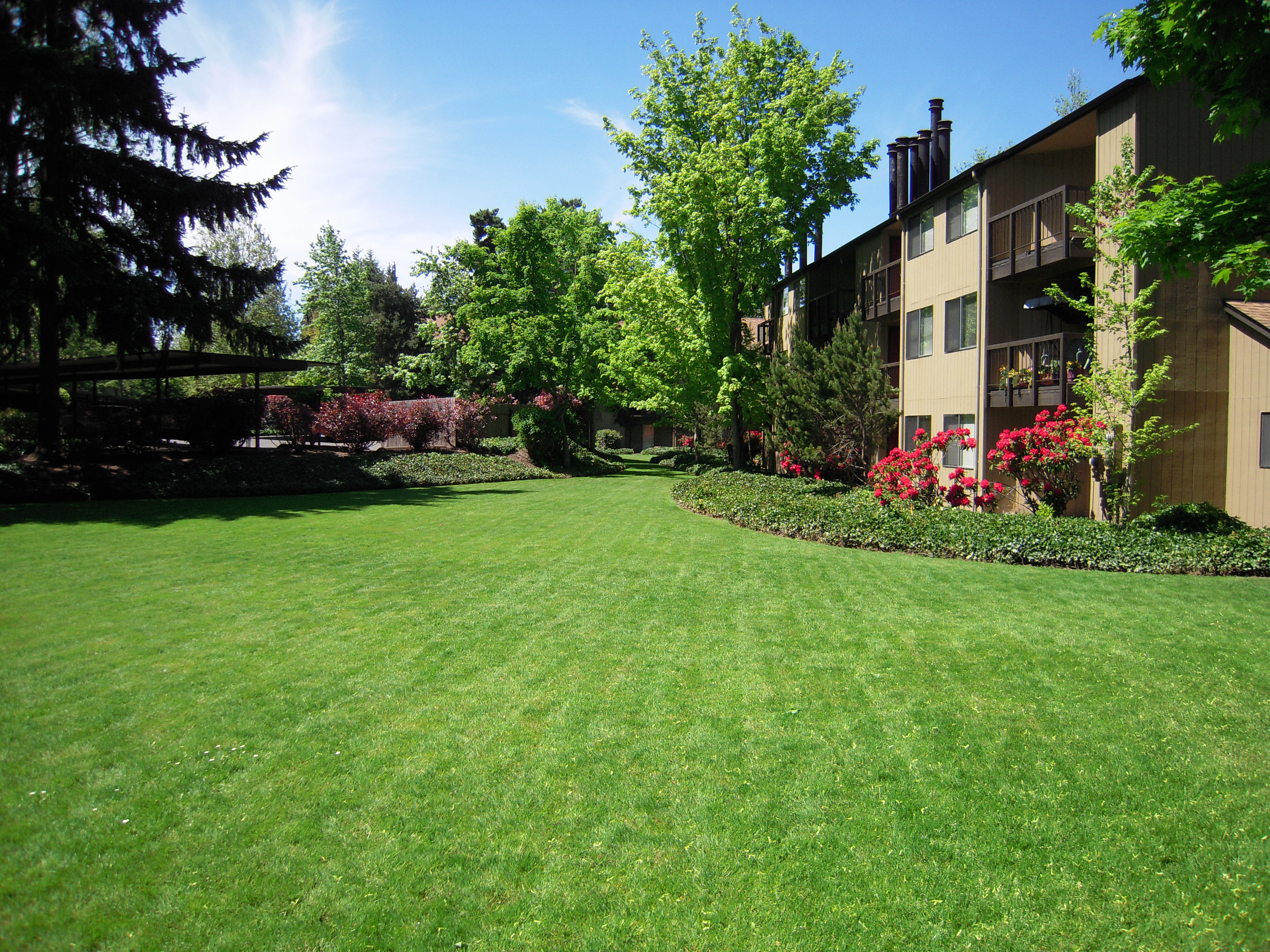 Properties Property Management Eugene