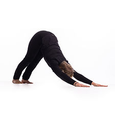 yoga_Levenscirkel_Griet_Muyshondt_YinYang_yoga_3.jpg