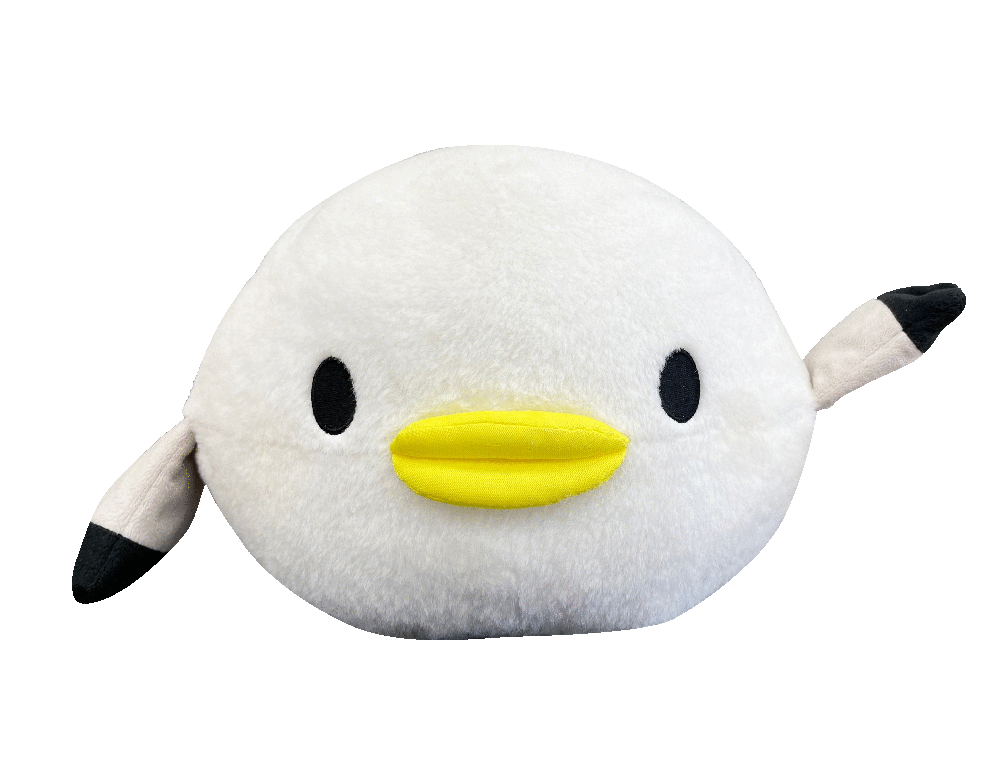 piapia.gif
