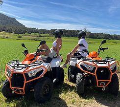 location quad porto vecchio.png