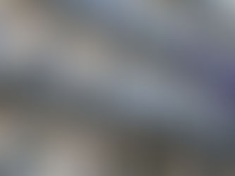 Reflexiones de una economía sin manual de instrucciones