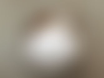 How often do you clean your pet bowls?