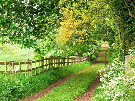 The most important thing for the new year