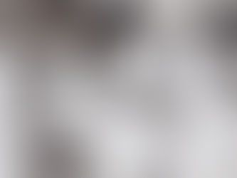 Remembering the Holocaust