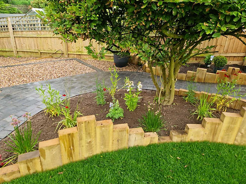 Garden design with plants and tree