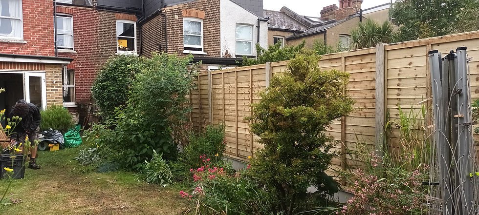 Garden fence