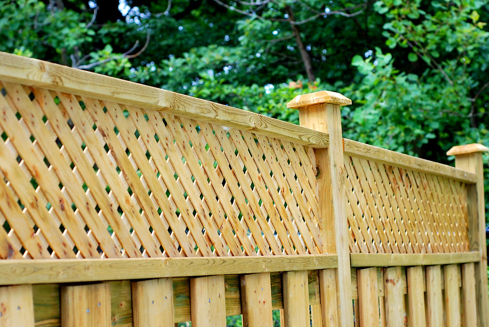 Garden fence