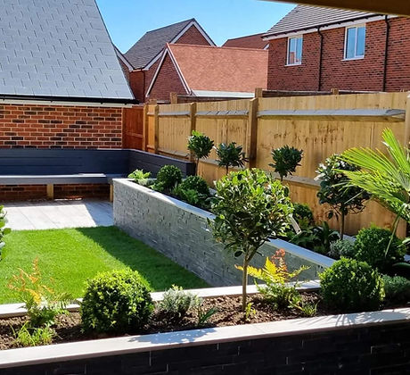 Garden design, wall with plants