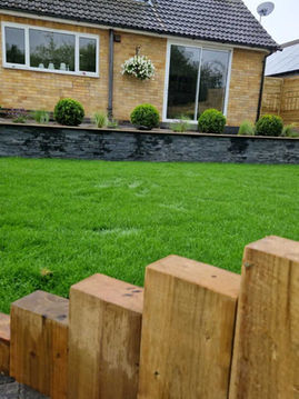 Fresh grass Garden design