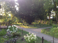 Alejki ogrodu przy plebanii