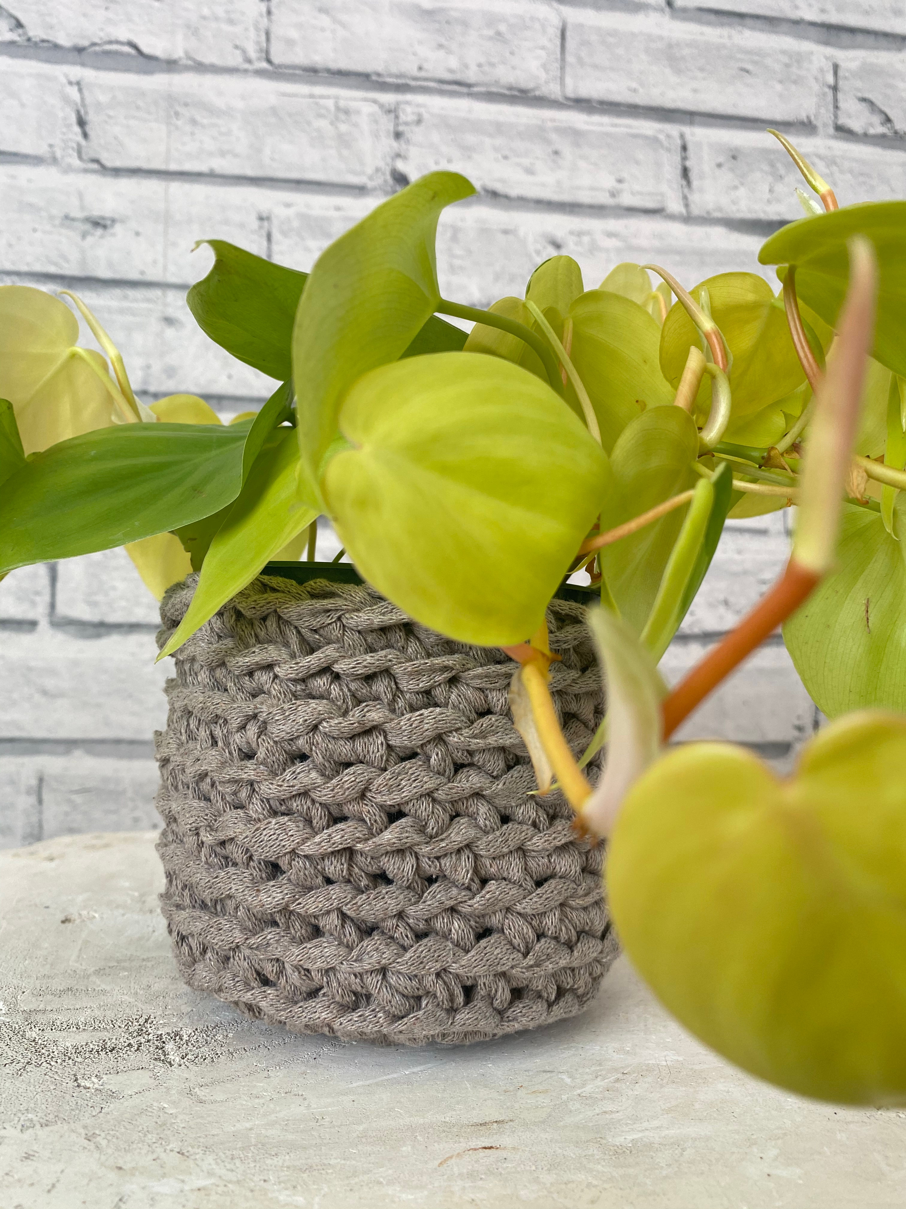 Bamboo Cover Pot- 4 inch